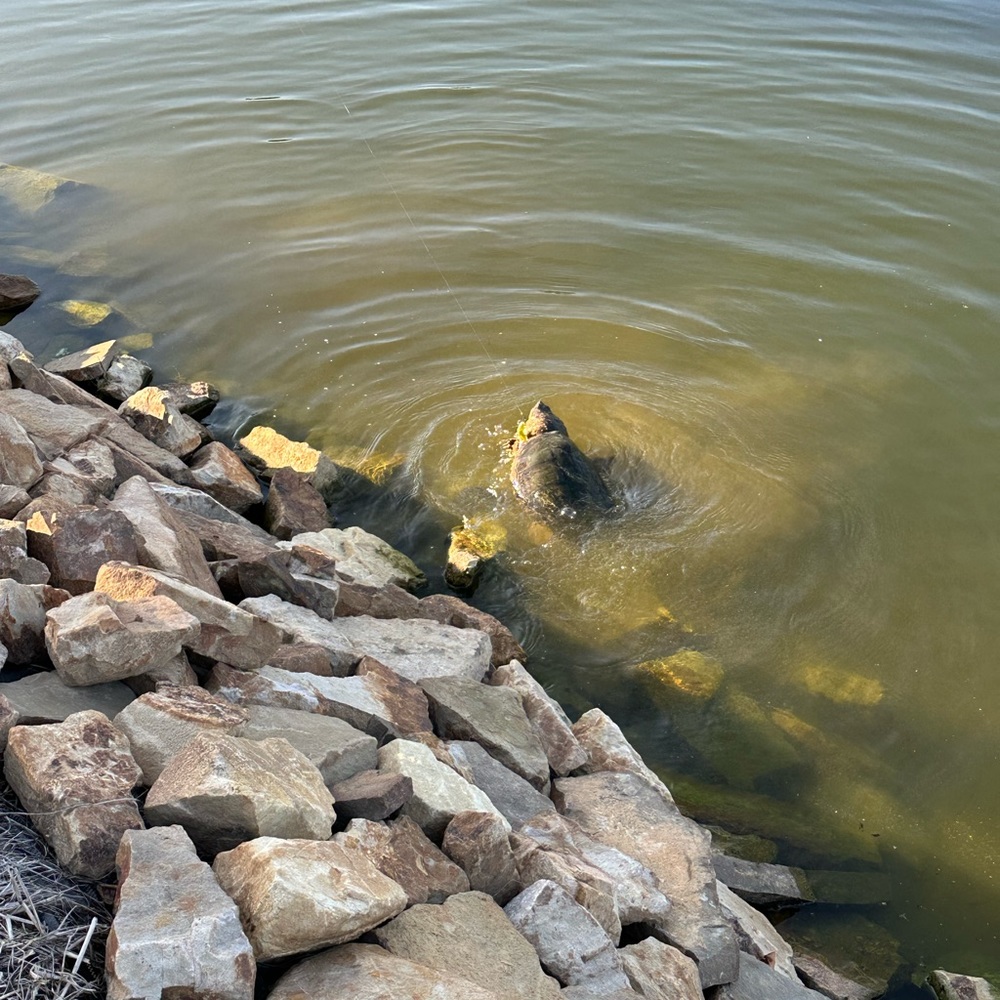 Meet your Posher, Kevin